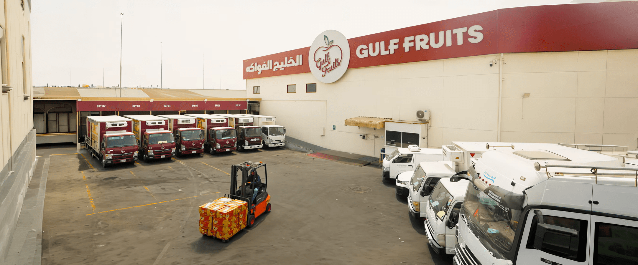 Gulf Fruits Feature