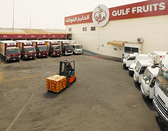 GULF FRUITS