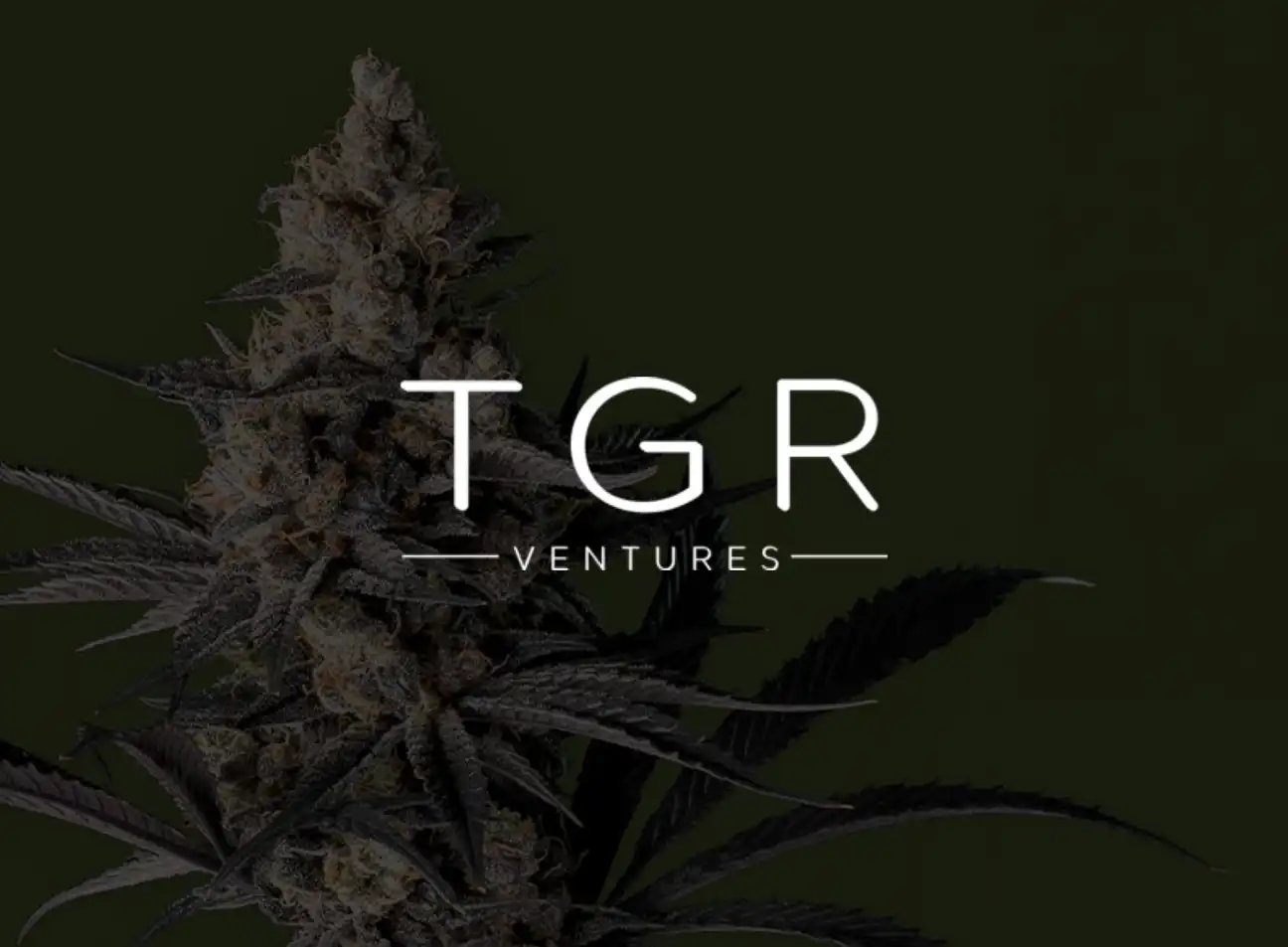 TGR (Automotive)