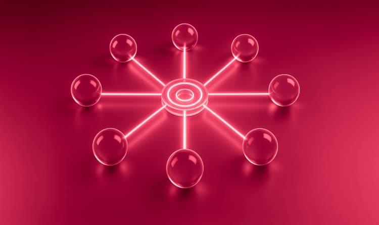 Omnichannel Experience Management